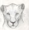 Bashque